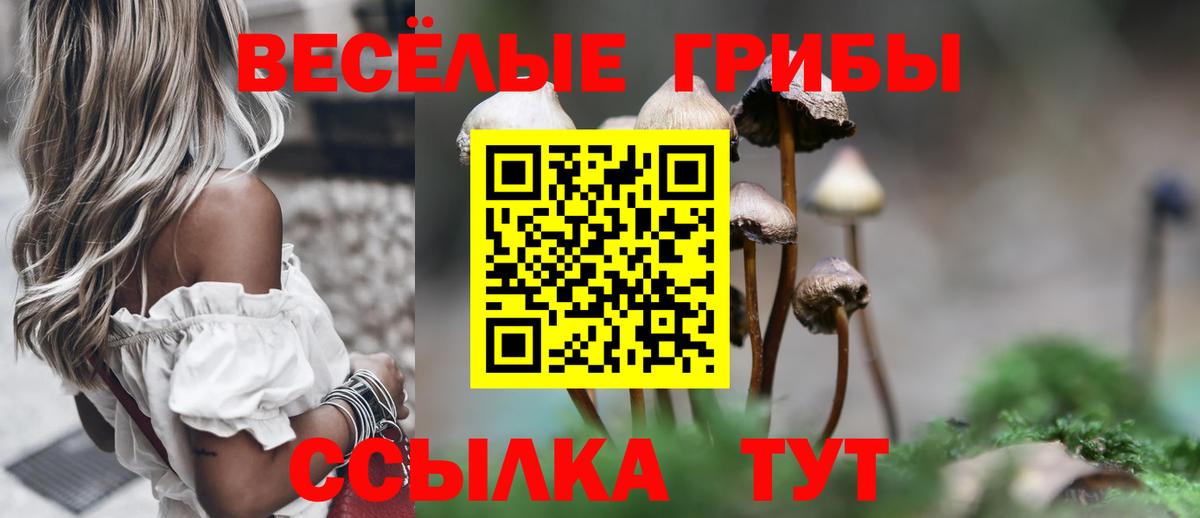 Псилоцибиновые грибы Psilocybe  Псилоцибиновые грибы мицелий  Волоколамск  Вход с VPN 